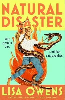 Lisa Owens - Natural Disaster, Häftad