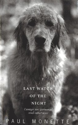 Last Watch Of The Night