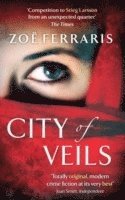bokomslag City Of Veils