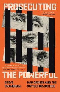 bokomslag Prosecuting the Powerful: War Crimes and the Battle for Justice