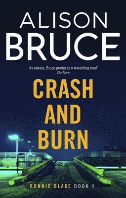 bokomslag Crash And Burn
