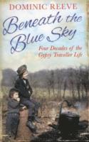 Beneath the Blue Sky