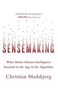 bokomslag Sensemaking