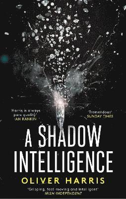 A Shadow Intelligence 1