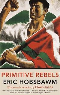 bokomslag Primitive Rebels