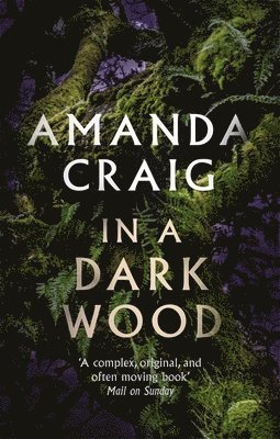 Amanda Craig - In a Dark Wood, Häftad