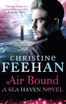 Christine Feehan - Air Bound, Häftad