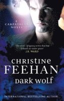 Christine Feehan - Dark Wolf, Häftad