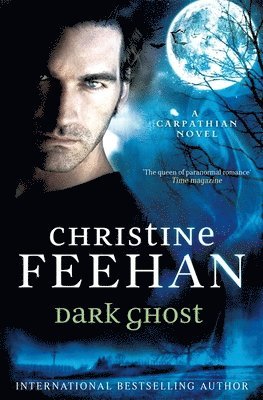 bokomslag Dark Ghost