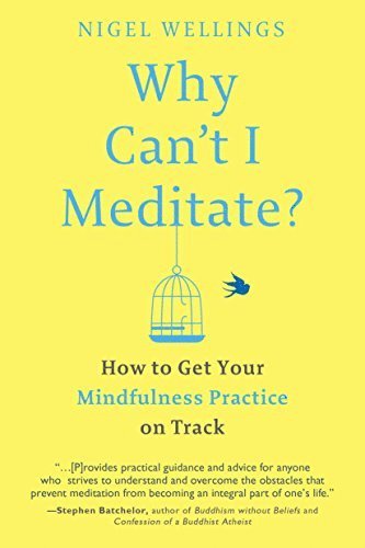 Why Can't I Meditate? 1