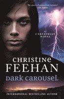 bokomslag Dark Carousel