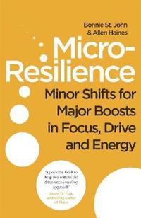 bokomslag Micro-Resilience