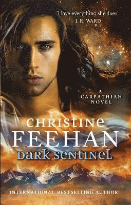 Christine Feehan - Dark Sentinel, Häftad