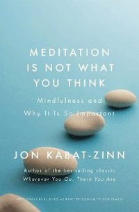 bokomslag Meditation is Not What You Think