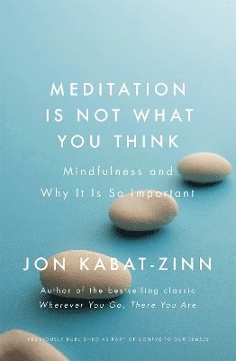 Meditation is Not What You Think 1