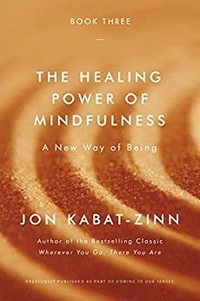 bokomslag The Healing Power of Mindfulness