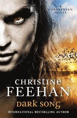 Christine Feehan - Dark Song, Häftad