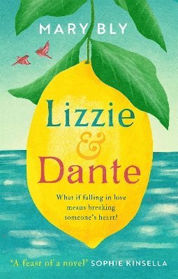Lizzie and Dante: 'A feast of a novel' Sophie Kinsella 1