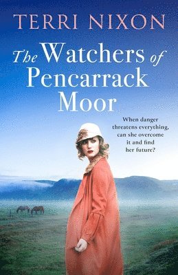 Watchers of Pencarrack Moor