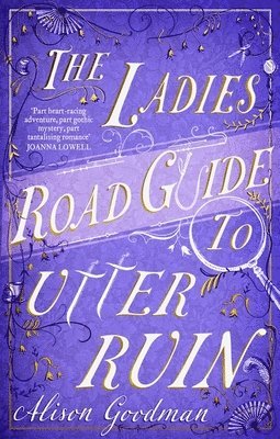 bokomslag The Ladies Road Guide to Utter Ruin