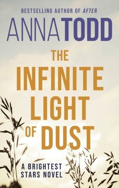 bokomslag Infinite Light of Dust