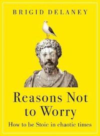 bokomslag Reasons Not to Worry