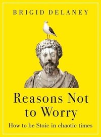 bokomslag Reasons Not to Worry