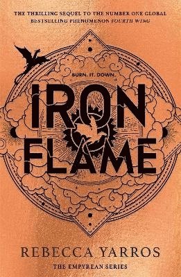 bokomslag Iron Flame