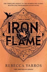 bokomslag Iron Flame