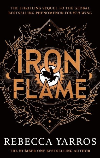 bokomslag Iron Flame