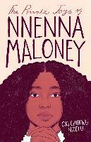 bokomslag Private Joys Of Nnenna Maloney