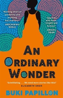 bokomslag Ordinary Wonder