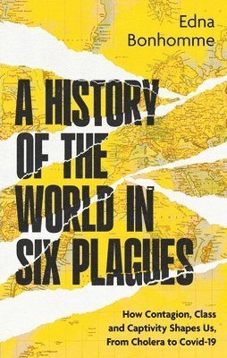 bokomslag History Of The World In Six Plagues