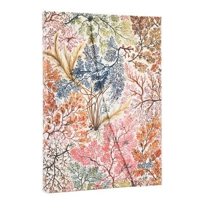 Kalender 2026 Paperblanks Anemone Midi horisontal, Övrigt