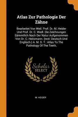bokomslag Atlas Zur Pathologie Der Z?hne