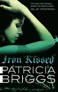 bokomslag Iron Kissed