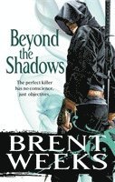 bokomslag Beyond The Shadows: Book 3 of the Night Angel
