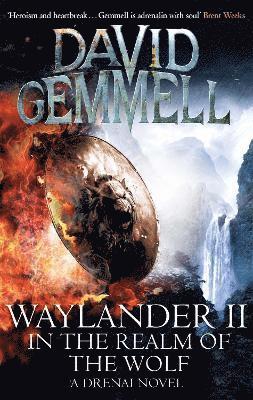 bokomslag Waylander II