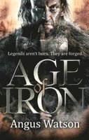 bokomslag Age of Iron