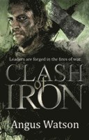 bokomslag Clash of Iron