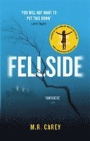 Fellside 1