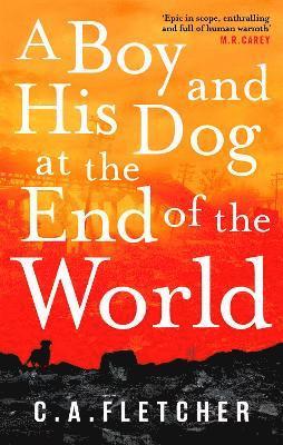 A Boy and his Dog at the End of the World 1