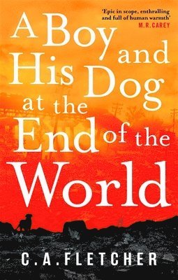 C. A. Fletcher - Boy and his Dog at the End of the World, Häftad