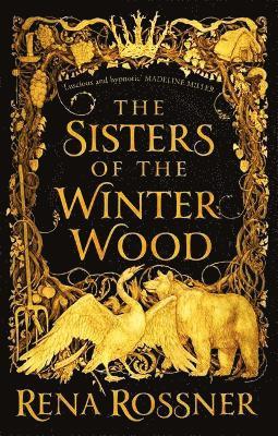 bokomslag The Sisters of the Winter Wood