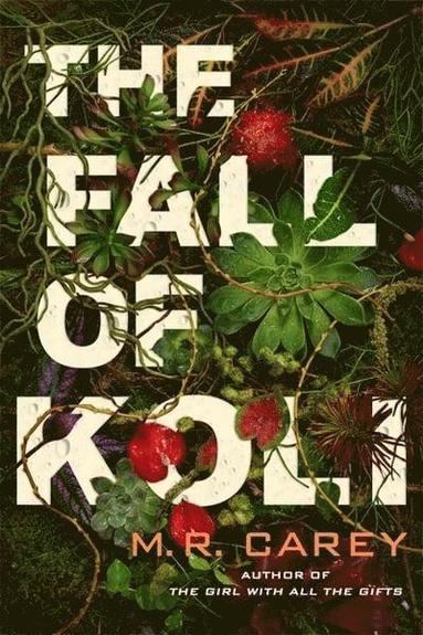 bokomslag Fall of Koli