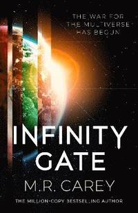 bokomslag Infinity Gate