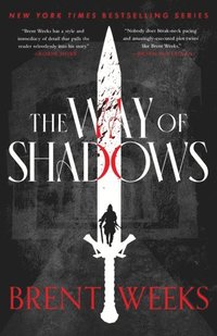 bokomslag The Way Of Shadows