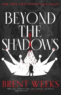 bokomslag Beyond The Shadows