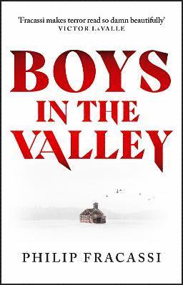 bokomslag Boys in the Valley