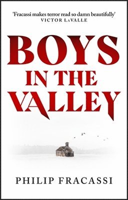 bokomslag Boys in the Valley